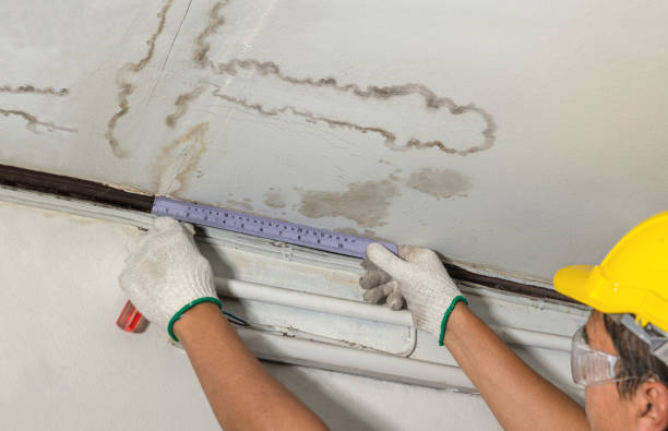 Reliable Flood Cleanup contractor in Springfield, OR by Water Damage Irwin